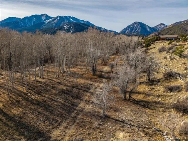 17573 Trout Circle Buena Vista, CO 81211