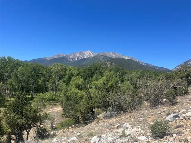 17573 Trout Circle Buena Vista, CO 81211