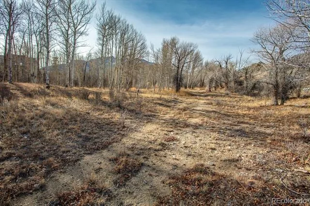 17573 Trout Circle Buena Vista, CO 81211