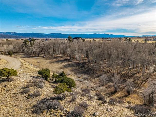 17573 Trout Circle Buena Vista, CO 81211