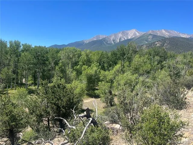17573 Trout Circle Buena Vista, CO 81211