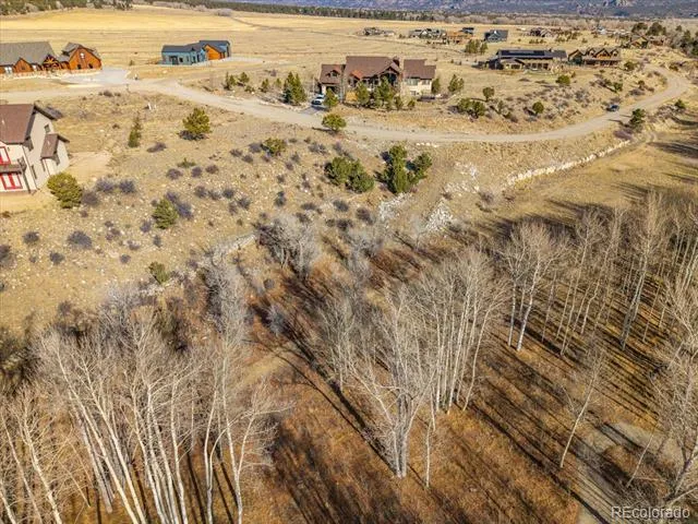 17573 Trout Circle Buena Vista, CO 81211
