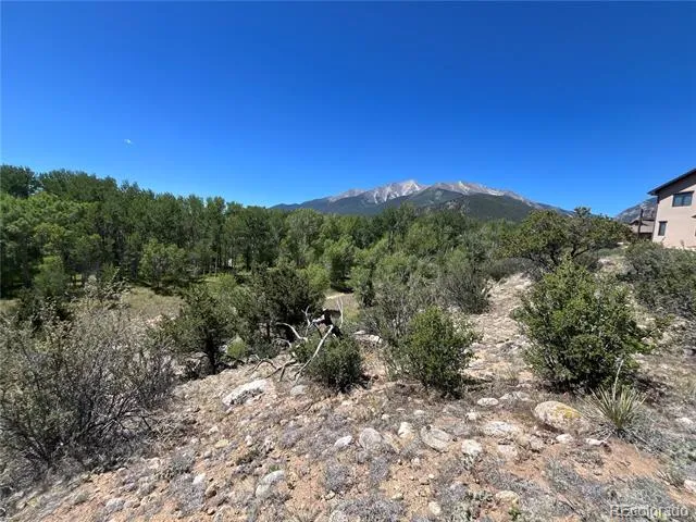17573 Trout Circle Buena Vista, CO 81211