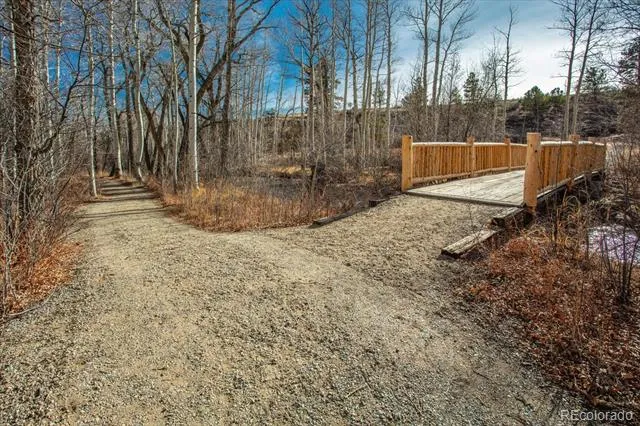 17573 Trout Circle Buena Vista, CO 81211