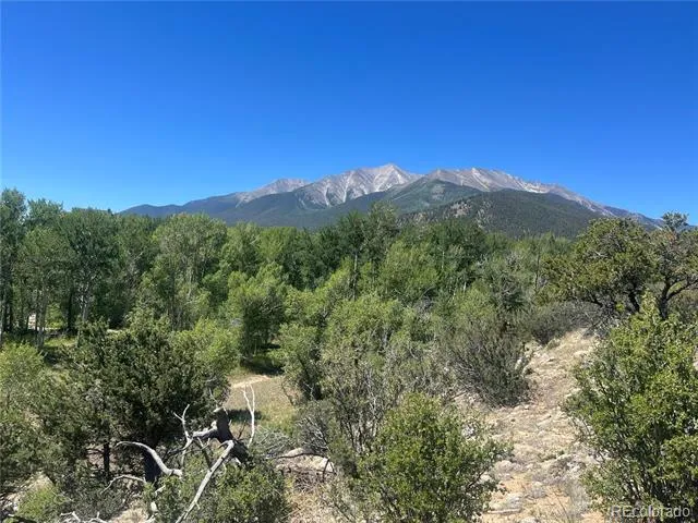 17573 Trout Circle Buena Vista, CO 81211
