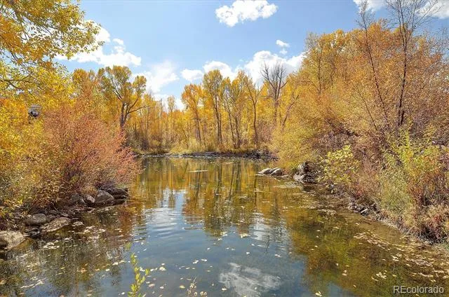 17573 Trout Circle Buena Vista, CO 81211