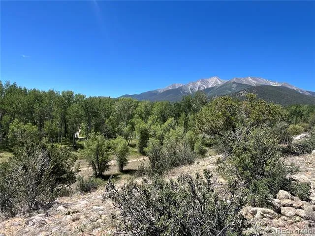17573 Trout Circle Buena Vista, CO 81211