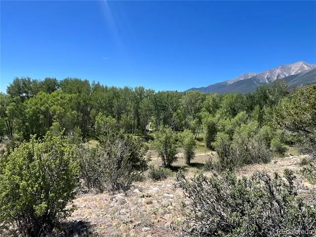 17573 Trout Circle Buena Vista, CO 81211