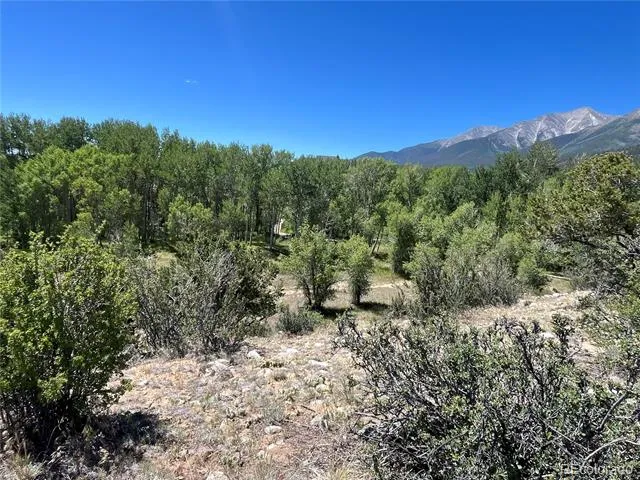 17573 Trout Circle Buena Vista, CO 81211