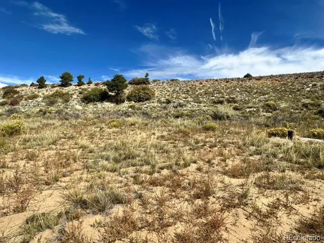 24266 River Rock Lane Buena Vista, CO 81211