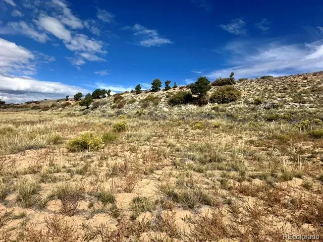 24266 River Rock Lane Buena Vista, CO 81211