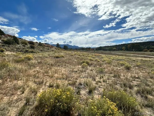 24266 River Rock Lane Buena Vista, CO 81211