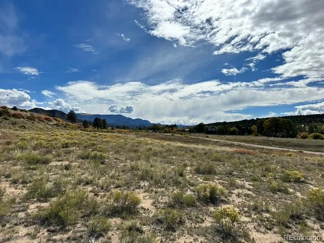 24266 River Rock Lane Buena Vista, CO 81211
