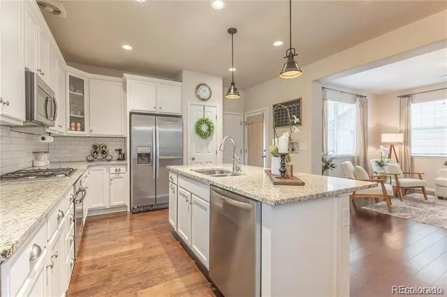 3793 Cadence Drive Castle Rock, CO 80109