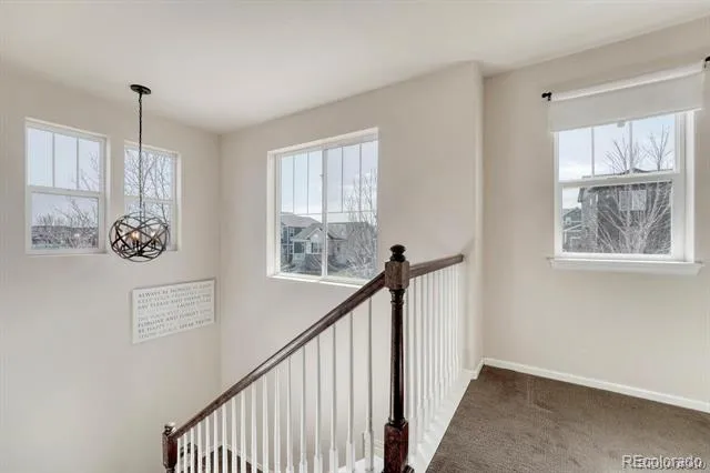3793 Cadence Drive Castle Rock, CO 80109