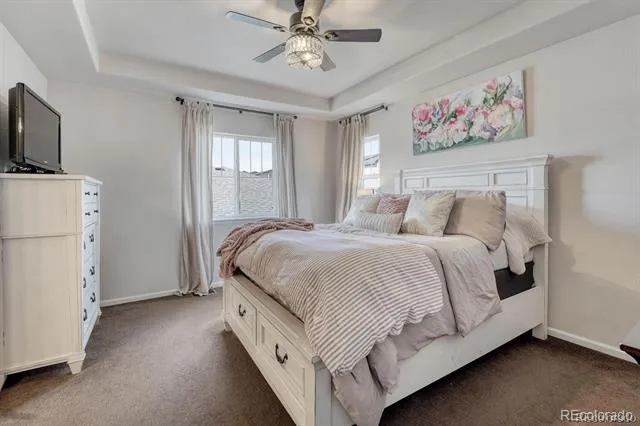 3793 Cadence Drive Castle Rock, CO 80109