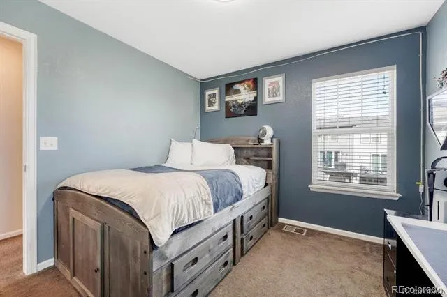 3793 Cadence Drive Castle Rock, CO 80109