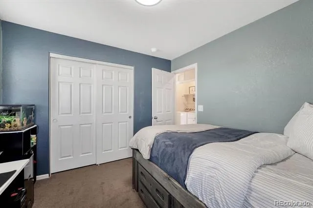 3793 Cadence Drive Castle Rock, CO 80109