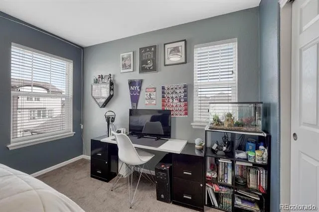 3793 Cadence Drive Castle Rock, CO 80109