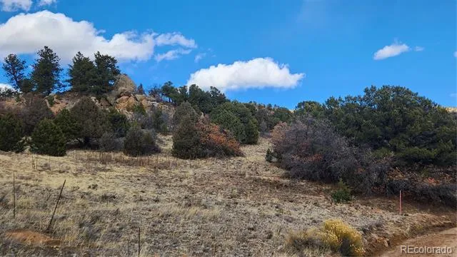 47 White Cloud Drive Cotopaxi, CO 81223
