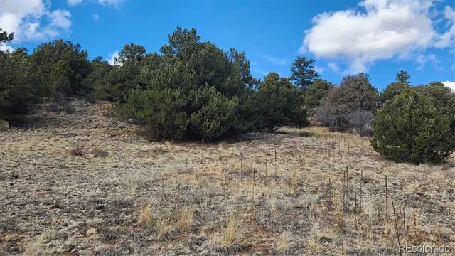47 White Cloud Drive Cotopaxi, CO 81223