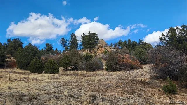 47 White Cloud Drive Cotopaxi, CO 81223