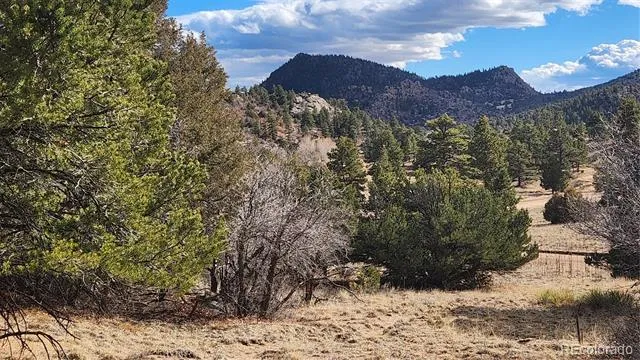 47 White Cloud Drive Cotopaxi, CO 81223