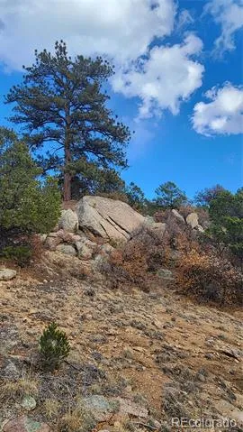 47 White Cloud Drive Cotopaxi, CO 81223
