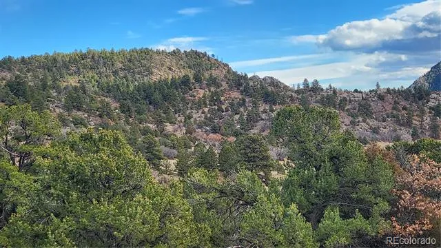 47 White Cloud Drive Cotopaxi, CO 81223