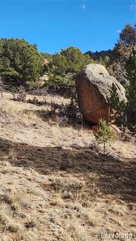 47 White Cloud Drive Cotopaxi, CO 81223
