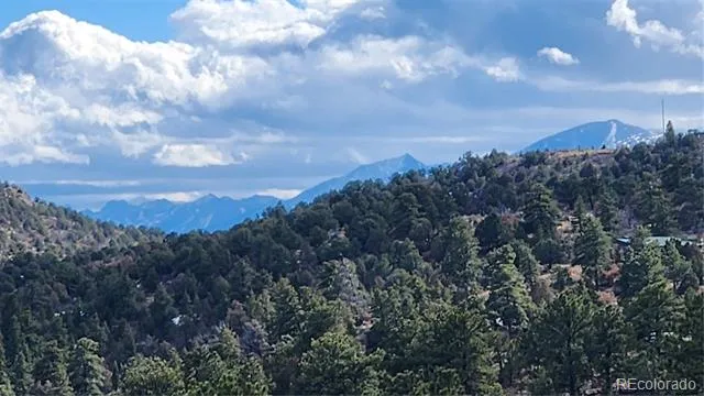 47 White Cloud Drive Cotopaxi, CO 81223