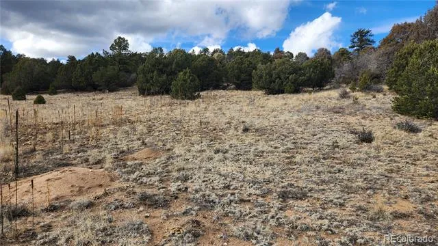 47 White Cloud Drive Cotopaxi, CO 81223