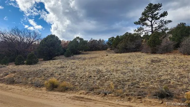 47 White Cloud Drive Cotopaxi, CO 81223