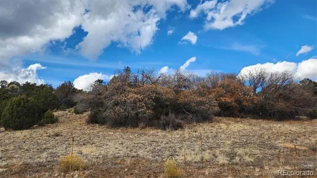 47 White Cloud Drive Cotopaxi, CO 81223
