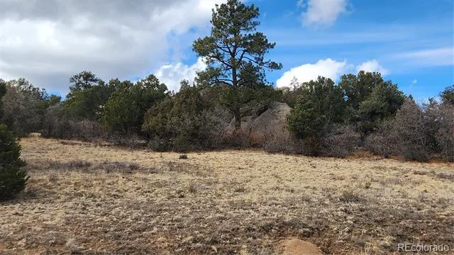 47 White Cloud Drive Cotopaxi, CO 81223