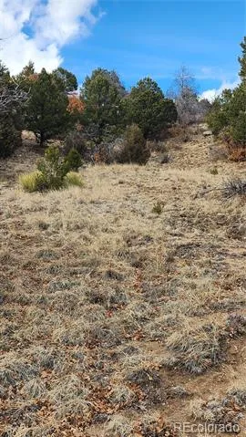 47 White Cloud Drive Cotopaxi, CO 81223
