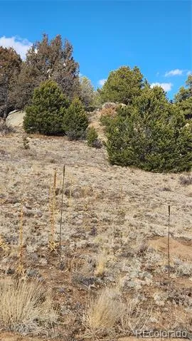 47 White Cloud Drive Cotopaxi, CO 81223