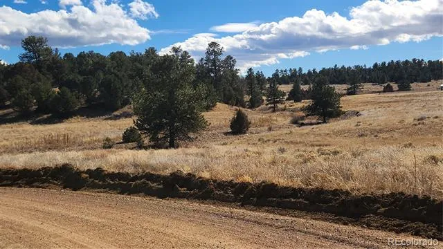 47 White Cloud Drive Cotopaxi, CO 81223