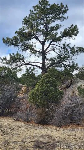 47 White Cloud Drive Cotopaxi, CO 81223