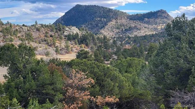 47 White Cloud Drive Cotopaxi, CO 81223