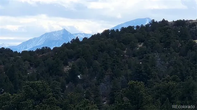 47 White Cloud Drive Cotopaxi, CO 81223