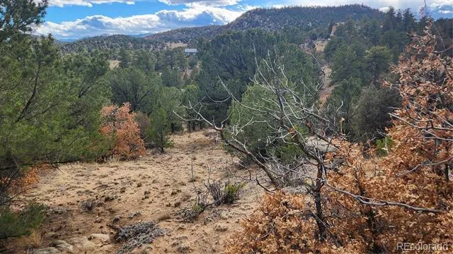 47 White Cloud Drive Cotopaxi, CO 81223