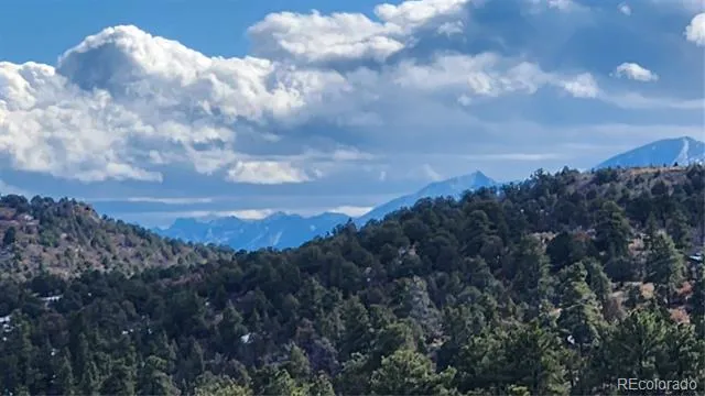 47 White Cloud Drive Cotopaxi, CO 81223