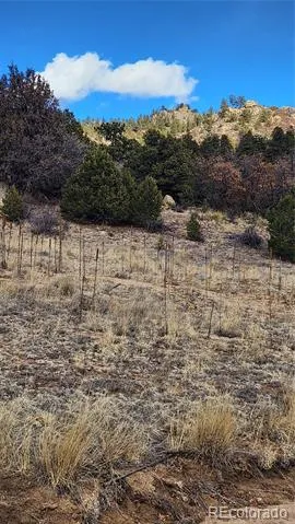 47 White Cloud Drive Cotopaxi, CO 81223
