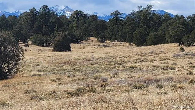 47 White Cloud Drive Cotopaxi, CO 81223