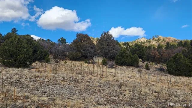47 White Cloud Drive Cotopaxi, CO 81223