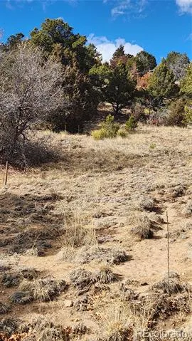 47 White Cloud Drive Cotopaxi, CO 81223
