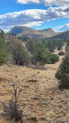 47 White Cloud Drive Cotopaxi, CO 81223