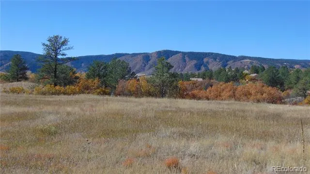 4771 Jackson Creek Road Sedalia, CO 80135