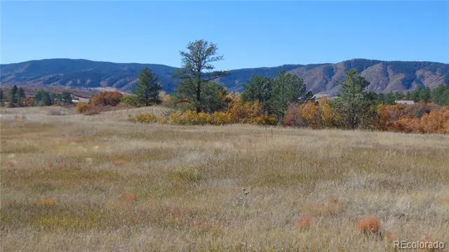 4771 Jackson Creek Road Sedalia, CO 80135